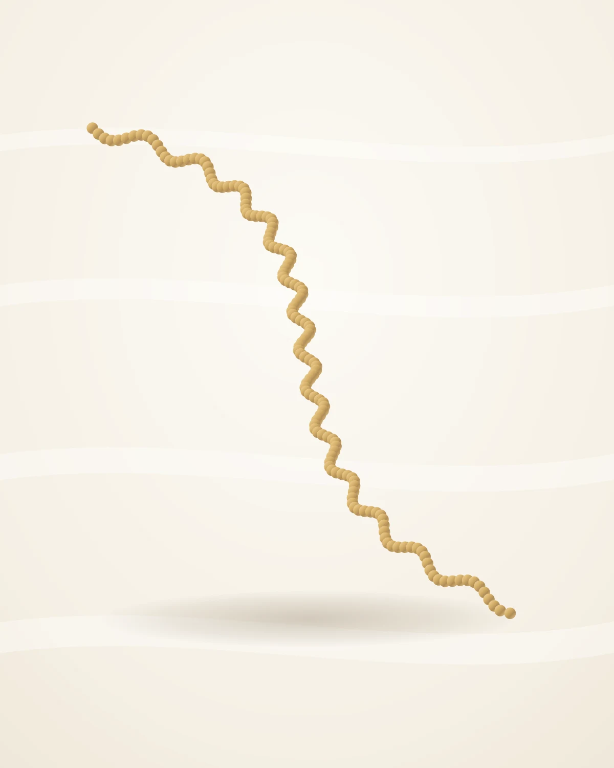 Nova Rope Chain — studio front view on ivory silk